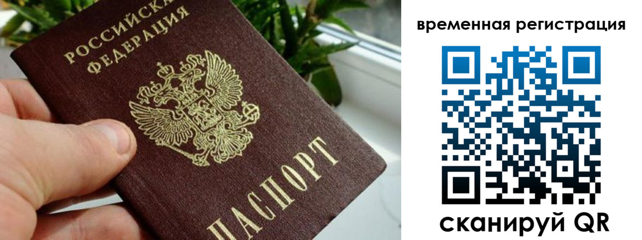 прописка поиск в Новом Осколе